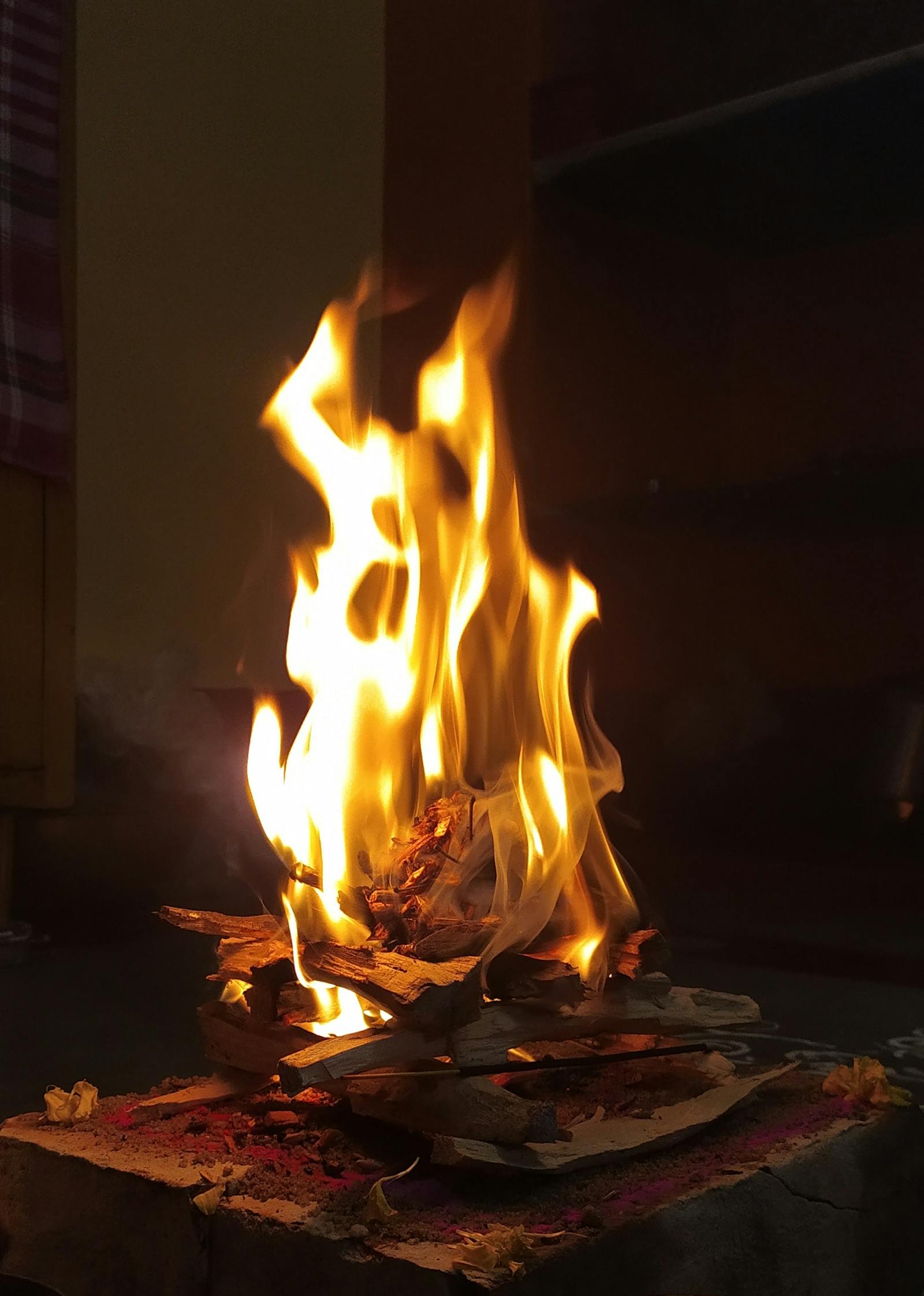 Sacred Homam fire with burning samidha — ritual offering by Vedic priests